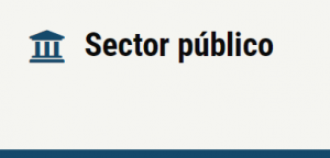 sector publico